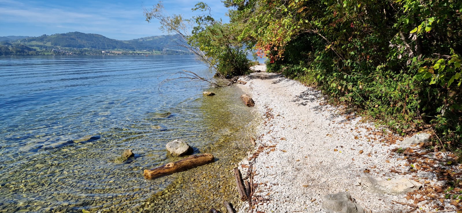 Weg am Traunsee