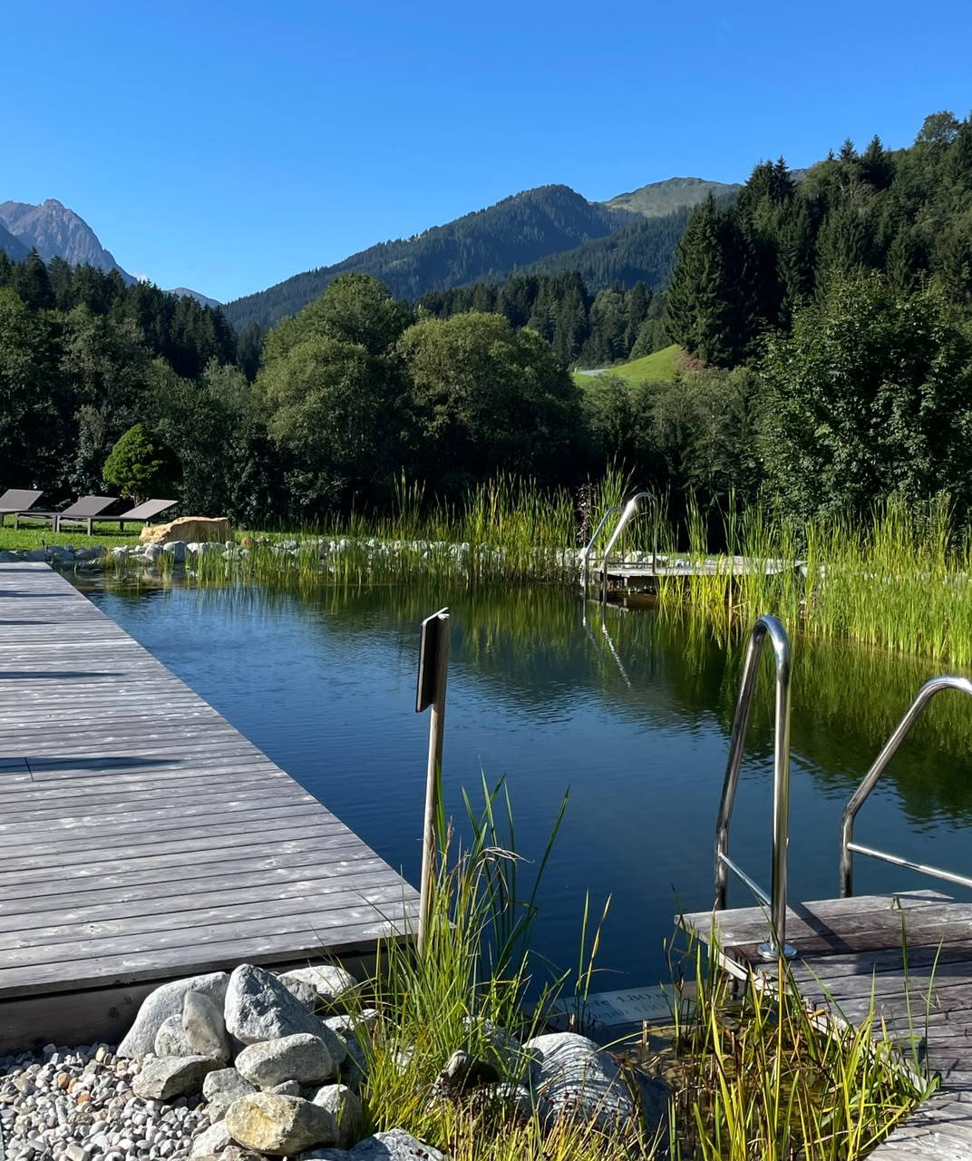 Schwimmteich_1072